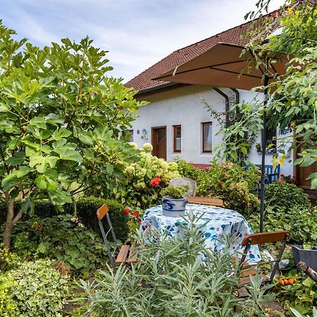 Ferienwohnung Alina Зінген Екстер'єр фото